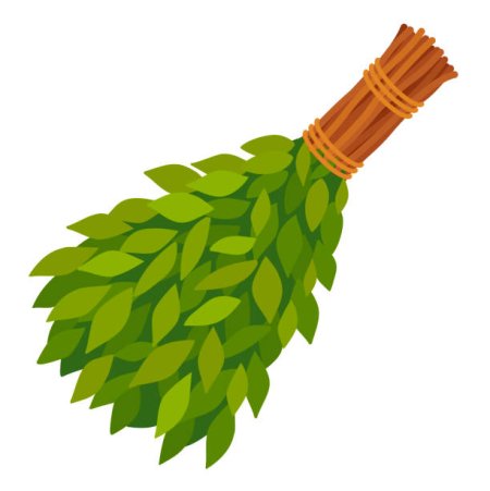Березовый веник вектор