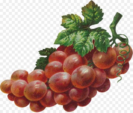 Кисть винограда и вишни