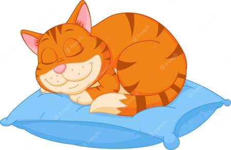Ребенок спит с котом