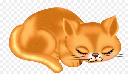 Кошка спит на прозрачном фоне