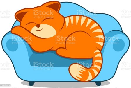 Спящий рыжий кот на лежанке