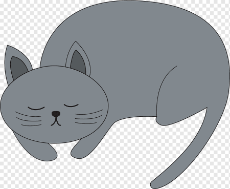 Спящий кот на прозрачном фоне
