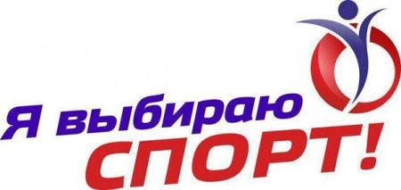 Надпись я выбираю спорт