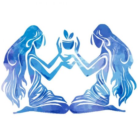 Знак зодиака Близнецы
