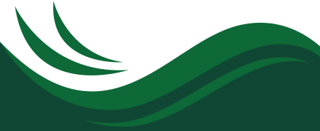 Зеленая волна на прозрачном фоне