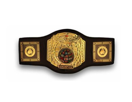 Wka пояс чемпиона