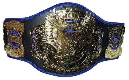 Титул WWE