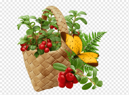 Корзинка с ягодами на прозрачном фоне