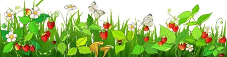 Сказочная Полянка с ягодами