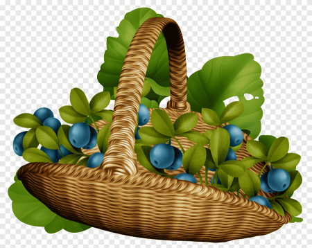 Корзинка с ягодами вектор