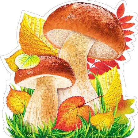 «Грибы для белки» (Комарова, с.36)