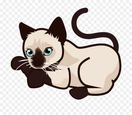 Сиамская кошка