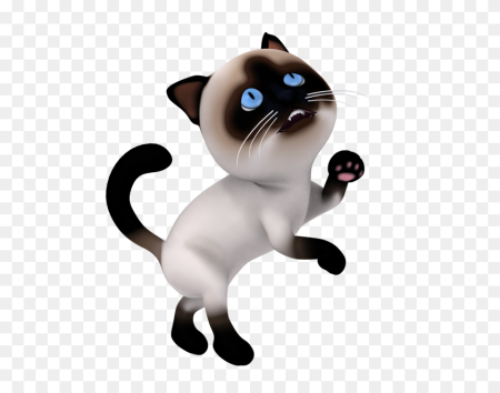 Сиамский кот на белом фоне