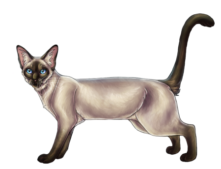 Кот вектор