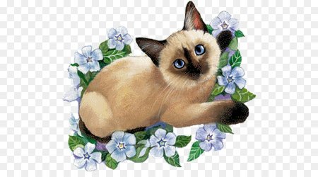 Сиамский кот клипарт