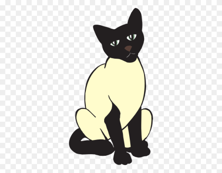 Сиамская кошка