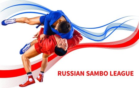 Баннер самбо