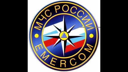 МЧС лого