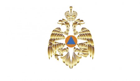 Большая эмблема МЧС России