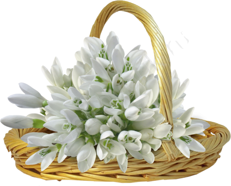 Букет подснежников