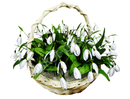 Подснежники в корзине