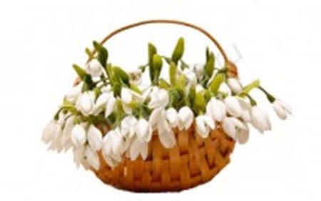 Подснежники в корзине