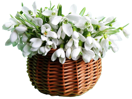 Букет подснежников в корзине