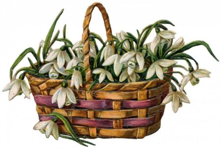 Рисование подснежники в корзине