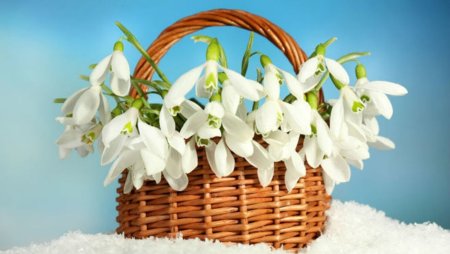 Корзинка с подснежниками