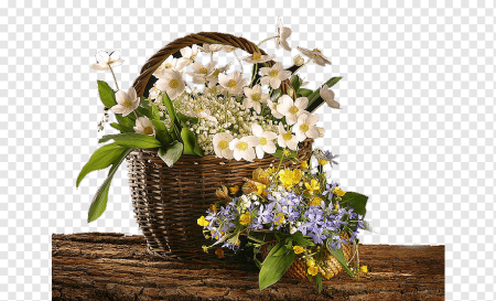 Подснежники вектор