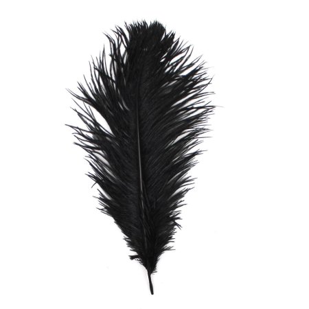 Черные перья клипарт (48 фото)