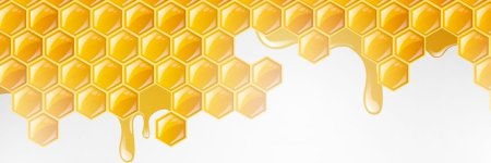 Мед в сотах вектор