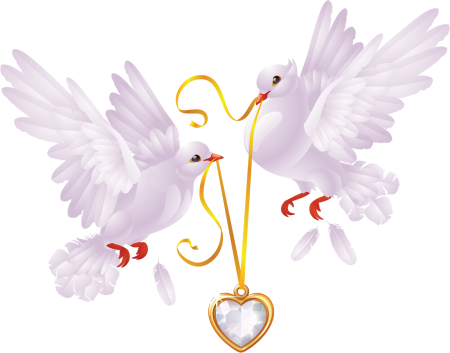 Свадебные голуби на прозрачном фоне