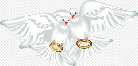 Голубки с сердечками