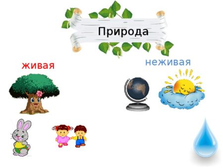 Рисунок на тему Живая и неживая природа