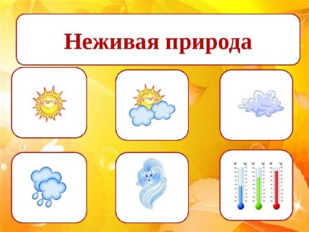 Пазлы Живая и неживая природа для детей