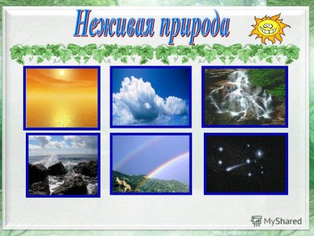 Живая не жмвая природа