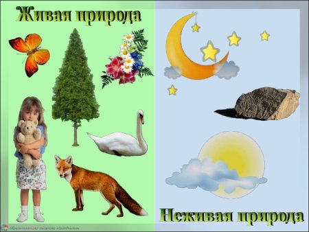 Неживая природа для дошкольников