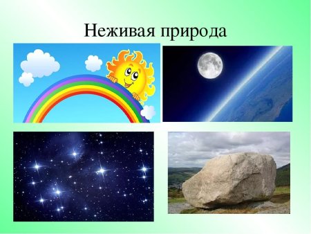 Живая и ее Живая природа