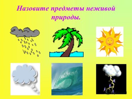 Предметы природы и рукотворного