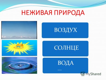 Карточки Живая и неживая природа