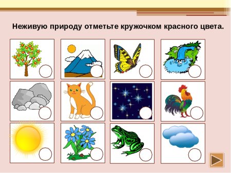 Неживая природа для дошкольников