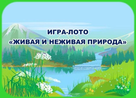 Живая и неживая природа задания для детей