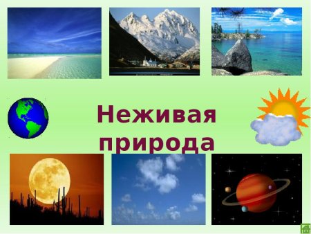 Живая и неживая природа задания