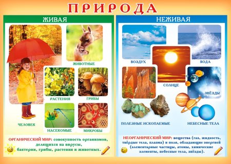 Живая и неживая приролд