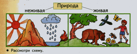 Живая и неживая природа