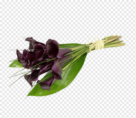 Цветы для мужчины