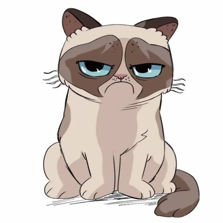 Грустный кот