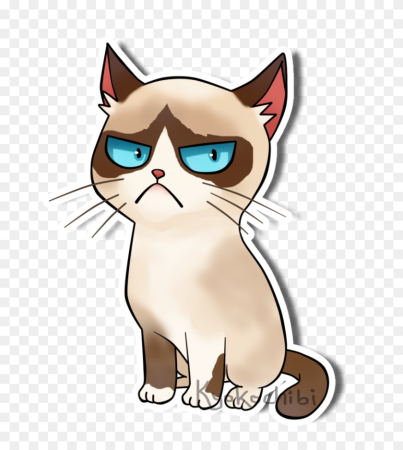 Недовольный кот