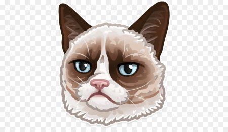 Grumpy Cat Стикеры телеграмм